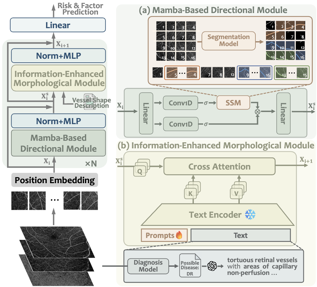 VAMPIRE: Uncovering Vessel Directional and Morphological Information from OCTA Images for Cardiovascular Disease Risk Factor Prediction